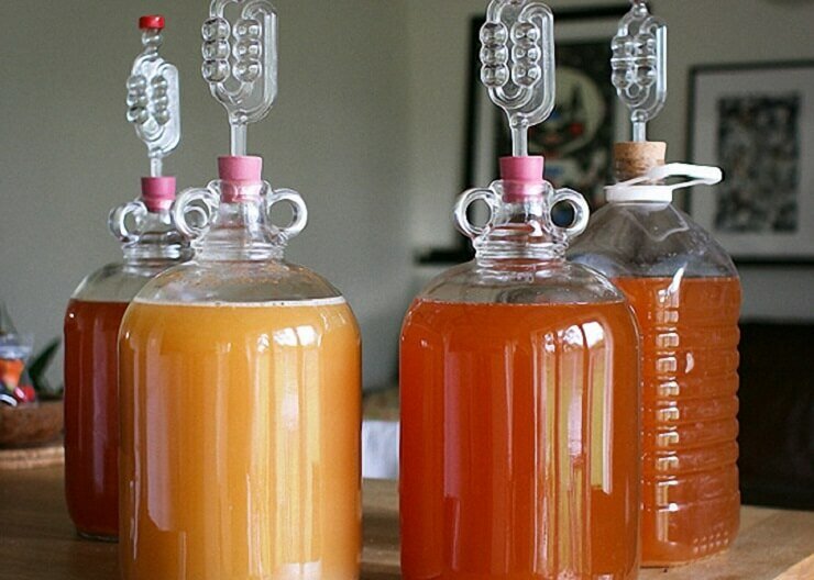 медовуха рецепт