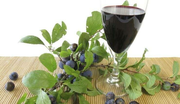 приготовление вина из терна в домашних условиях