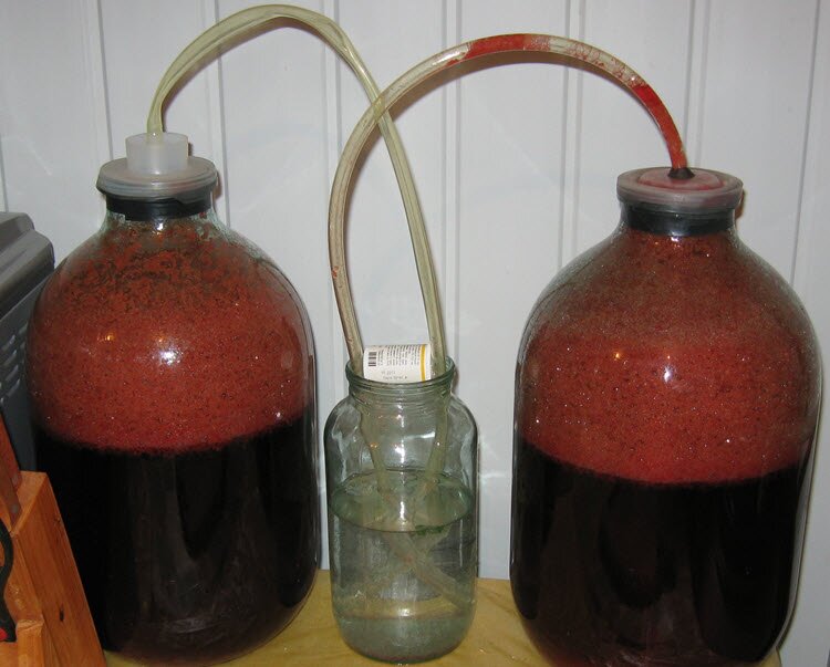  вино из винограда изабелла в домашних условиях