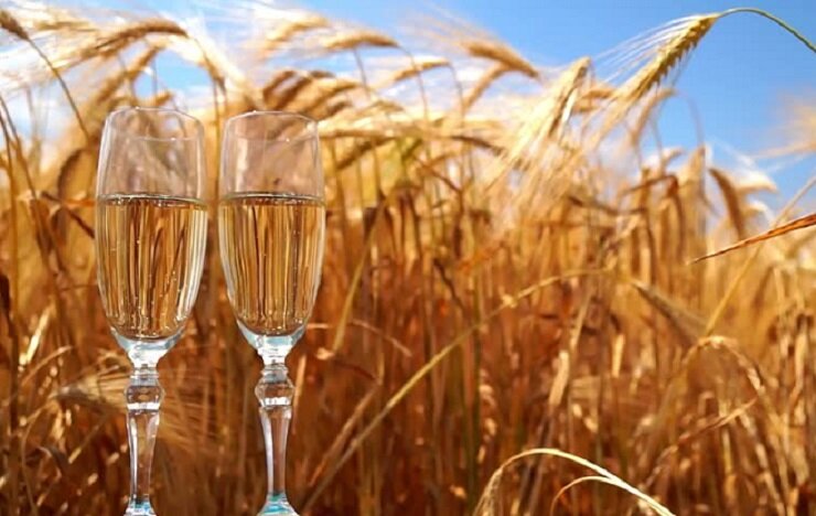 самогон из пшеницы рецепт с дрожжами