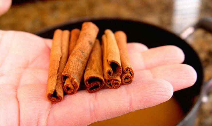 корица полезные свойства и противопоказания